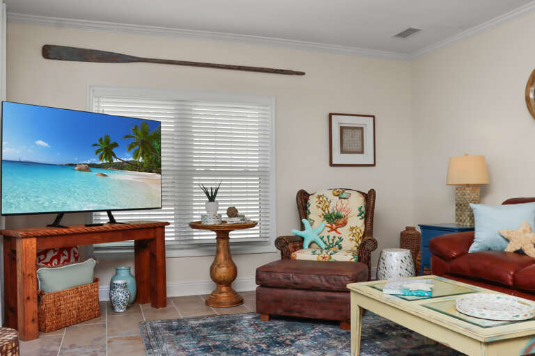 Living Room with TV