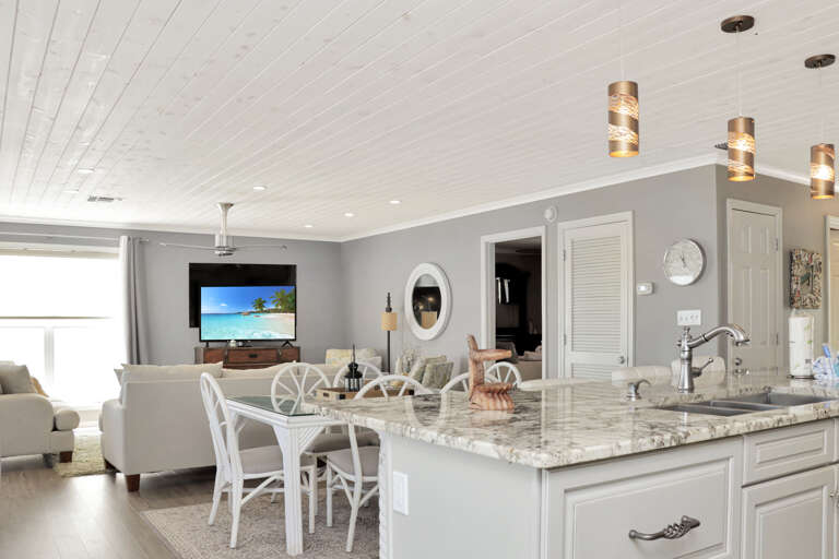 Kitchen and Living Area