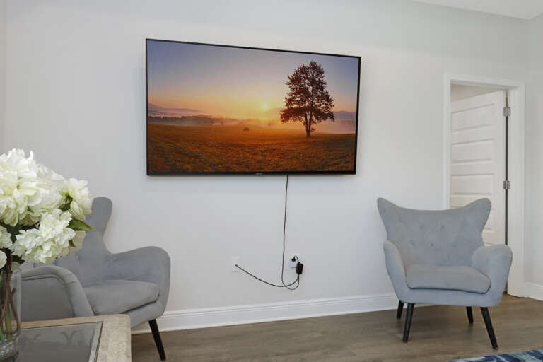 Living Room - TV