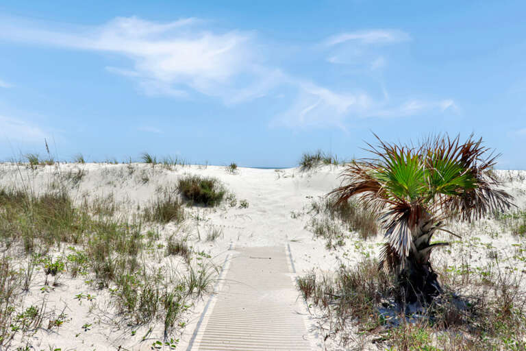 Pathway to Beach