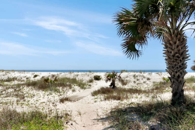Quiet Beach in Front of House