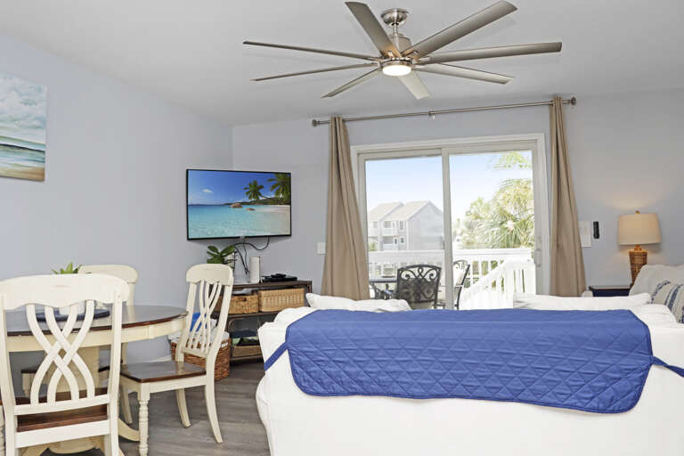Living Room View
