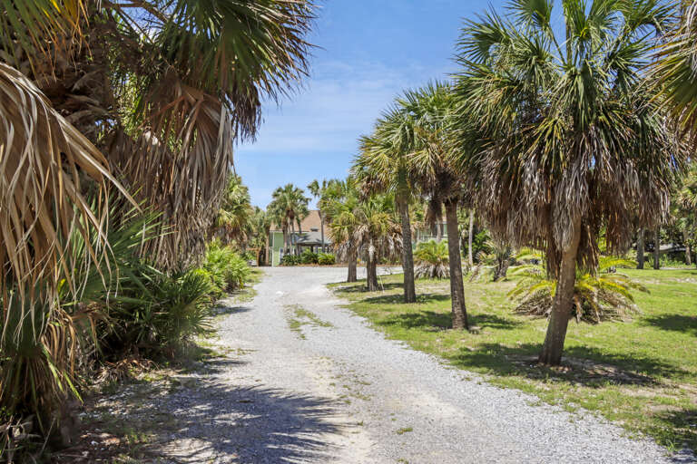 Driveway to Hidden Palms