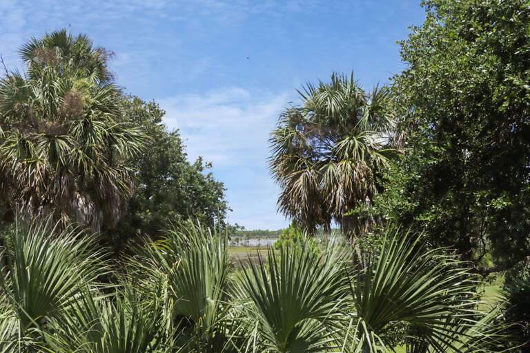 Lagoon View from Back Deck