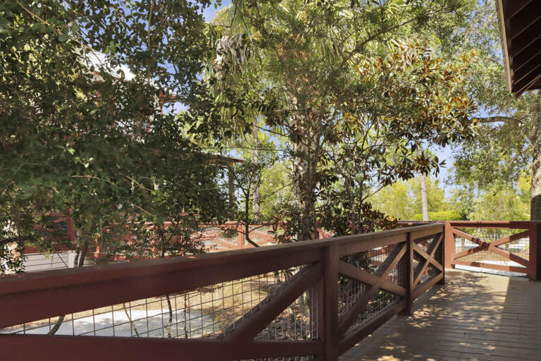 Shaded Location on Corner Lot