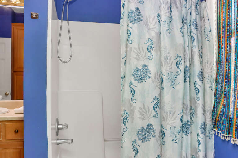 Full Bathroom Shower