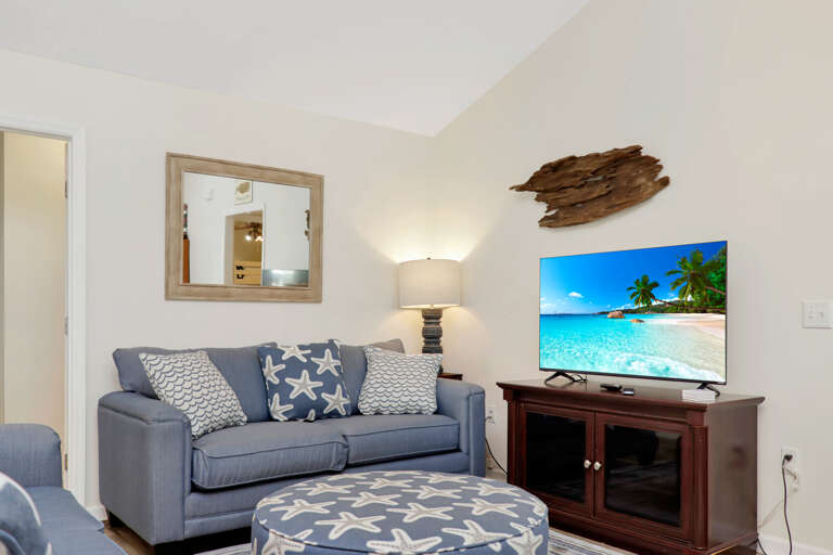 Living Room with TV
