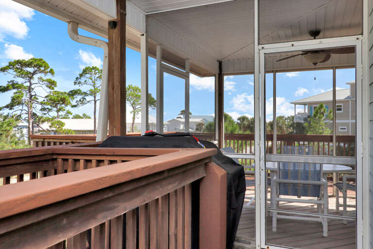 Grilling Area and Screened Deck
