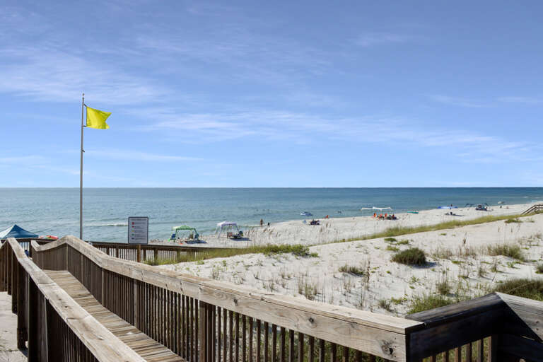 Boardwalk View
