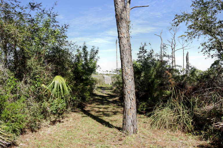 Backyard View of Dock