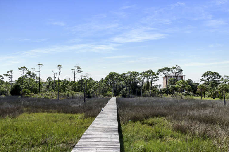 Private Dock Leading to The Ghost Crab