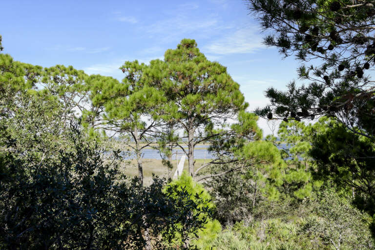 Bay View from First Floor Deck