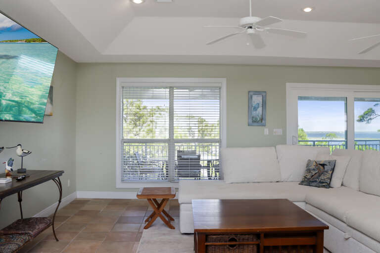 Living Room View