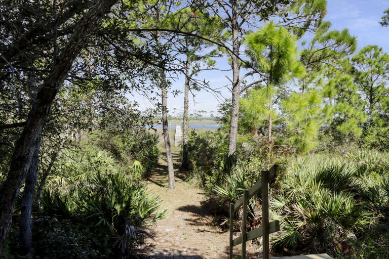 View of Backyard From Under House