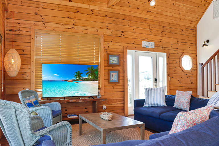 Living Room with TV