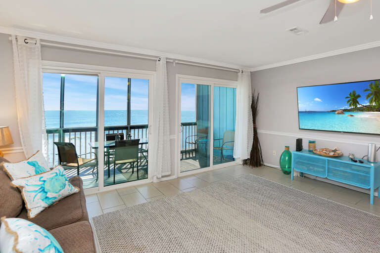 Living Room View & TV