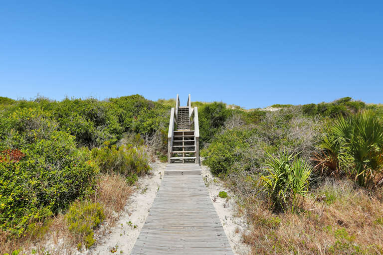 Beach Boardwalk