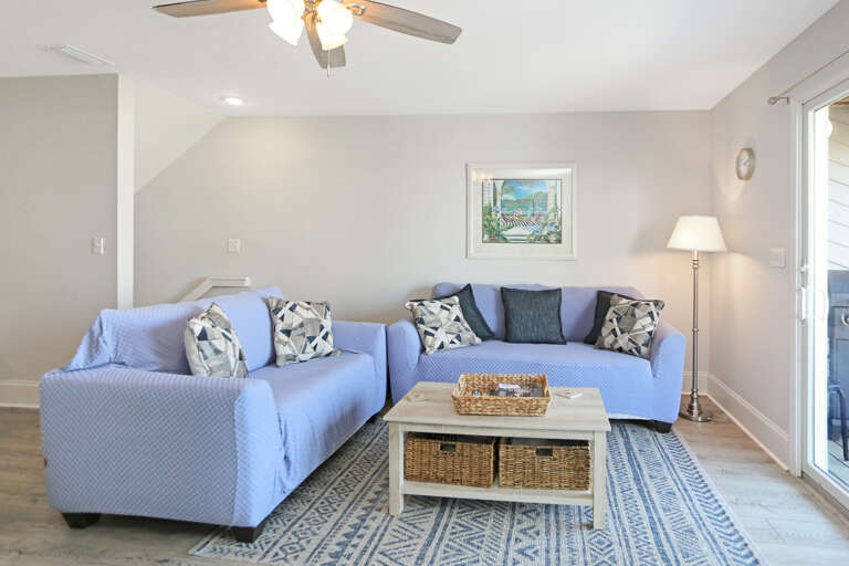 Living Room with Sleeper Sofa