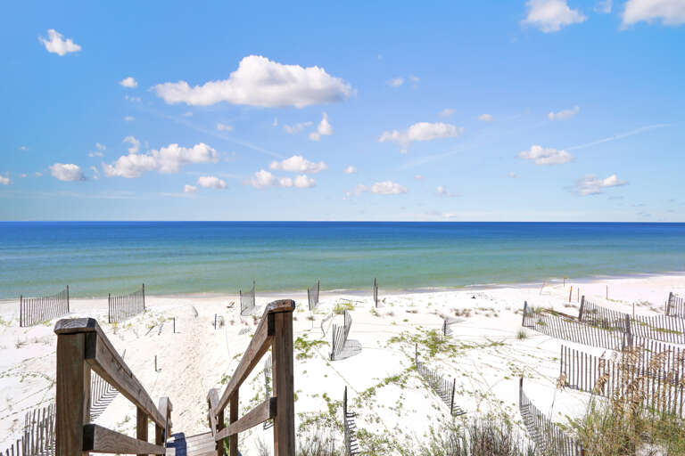 View from Boardwalk