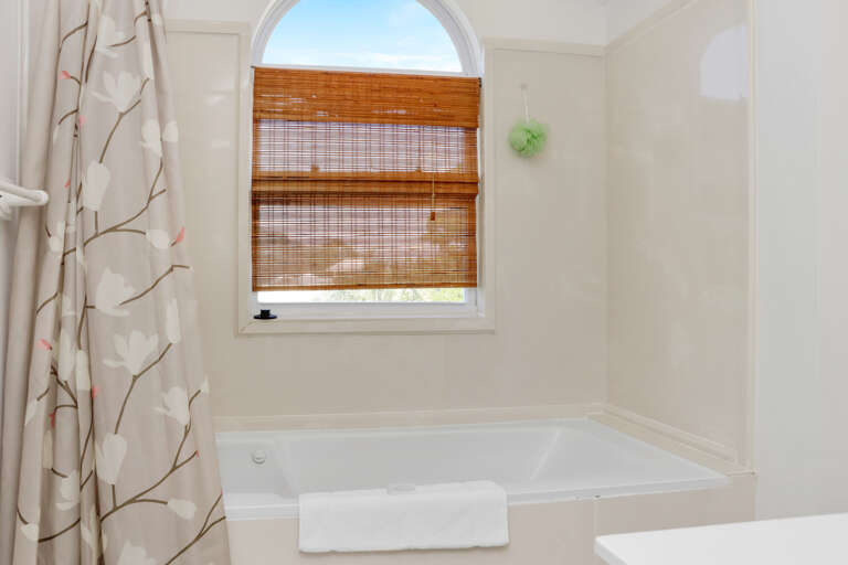 Top Floor Master Bath Tub