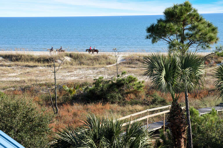 Horseback Riding on the Beach