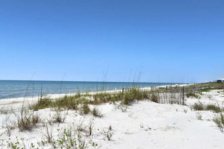 Beach View