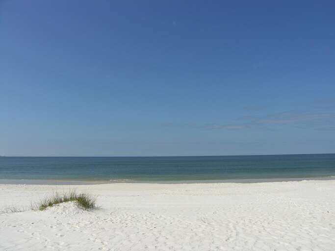 Sugar White Sands