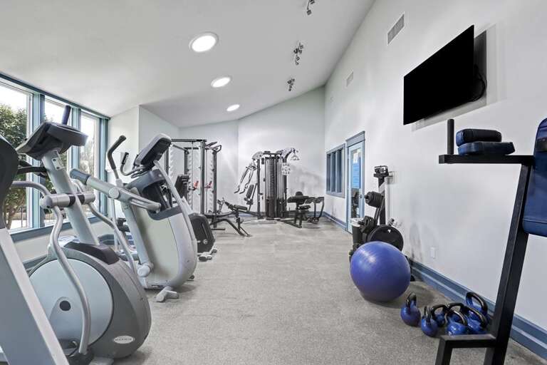 ANOTHER VIEW OF THE WORK OUT AREA