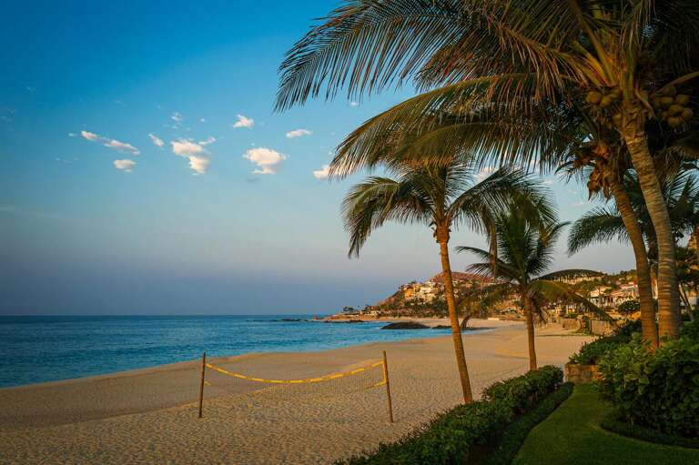 Tropical Beach Scene With A Vibrant Vacation Rental View, Palm Trees Beside The Serene Sea