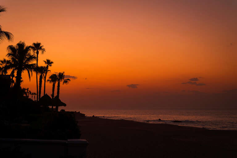 Silhouetted Palms Punctuate Pristine Sands Under An Amber Sunset Sky