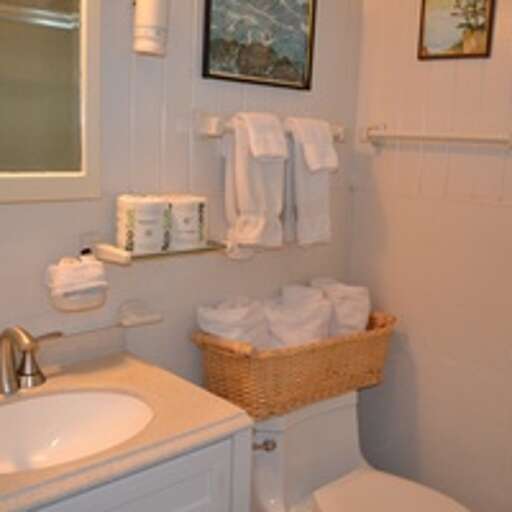 Master Suite Bathroom