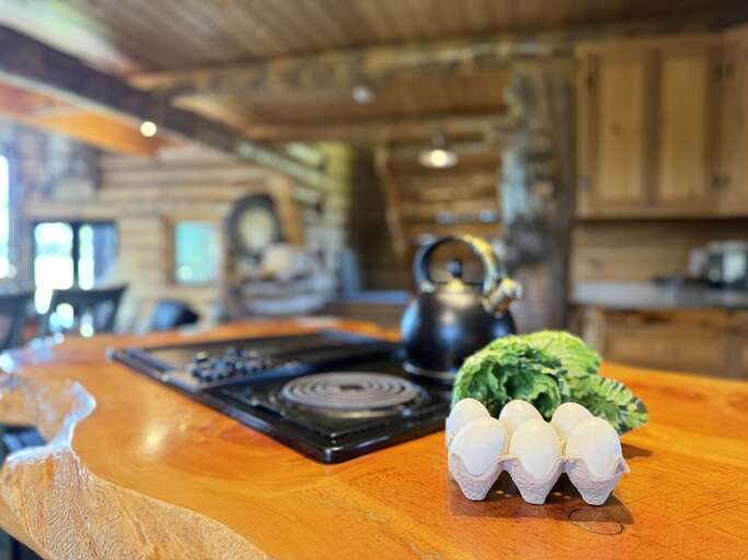 Island Park Cabin Rental