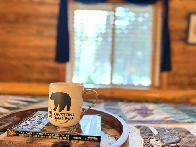 Island Park Cabin Rental