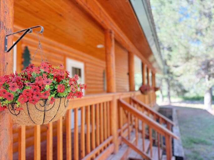 Island Park Cabin Rental