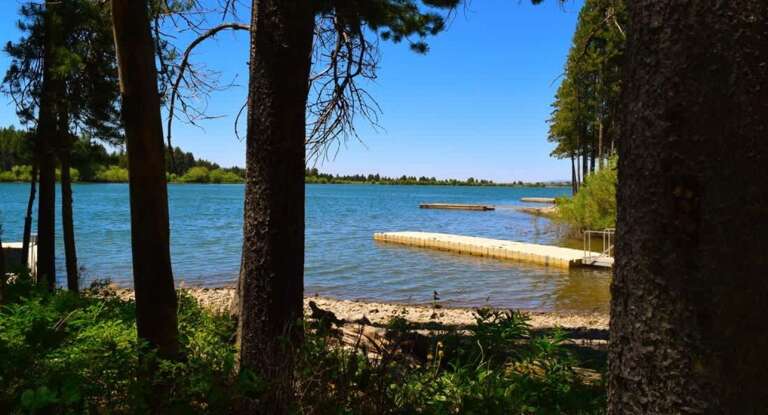 Island Park Cabin Rental