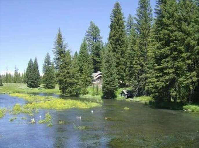 Find Rentals Find Rentals