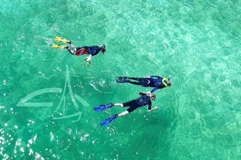 NEARBY ATTRACTIONS:  Snorkeling Destin Okaloosa Island Recommended by Sunset Resort Rentals Vacation Rentals