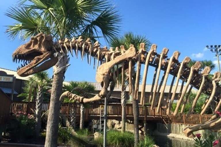 NEARBY ATTRACTIONS: Wild Williy's Adventure Zone Putt Putt and Arcade on Okaloosa Island Recommended by Sunset Resort Rentals Vacation Rentals