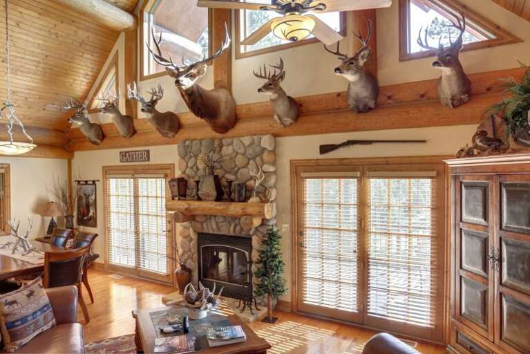 Find Rentals Find Rentals
