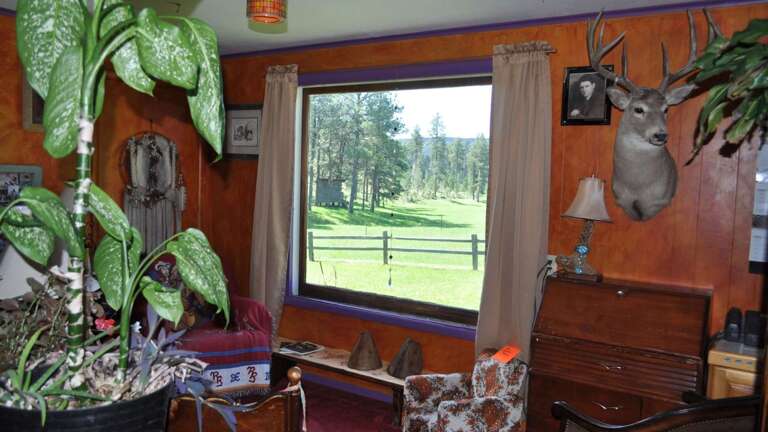 Find Rentals Find Rentals