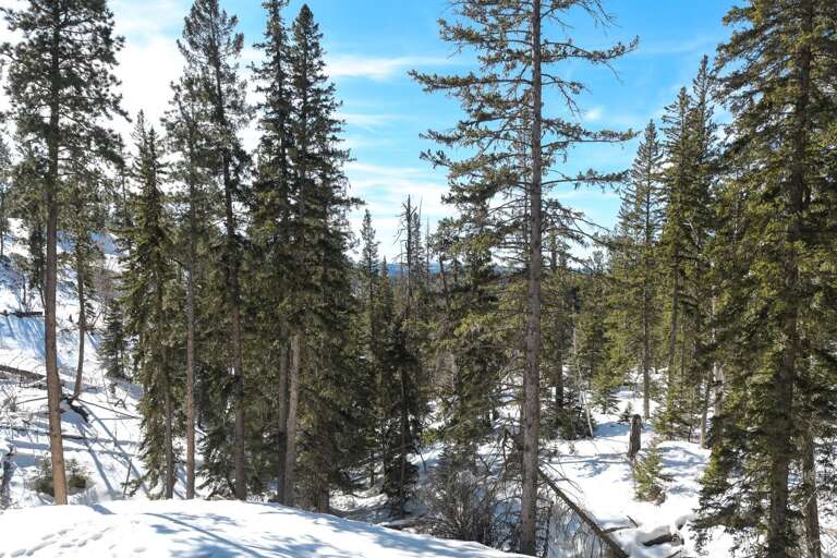 Terry Peak Cabin Rental