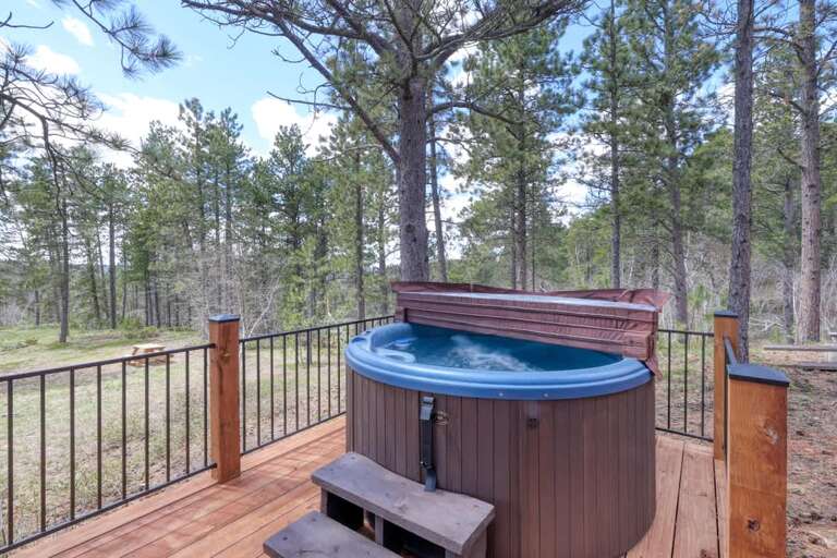 Terry Peak Cabin Rental