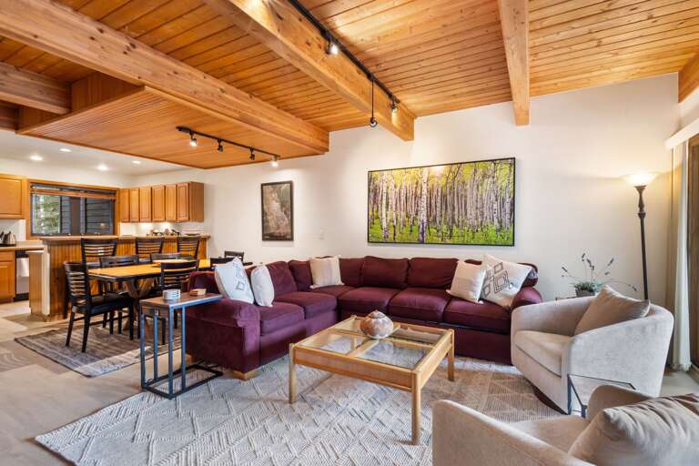 Telluride Rental Rental