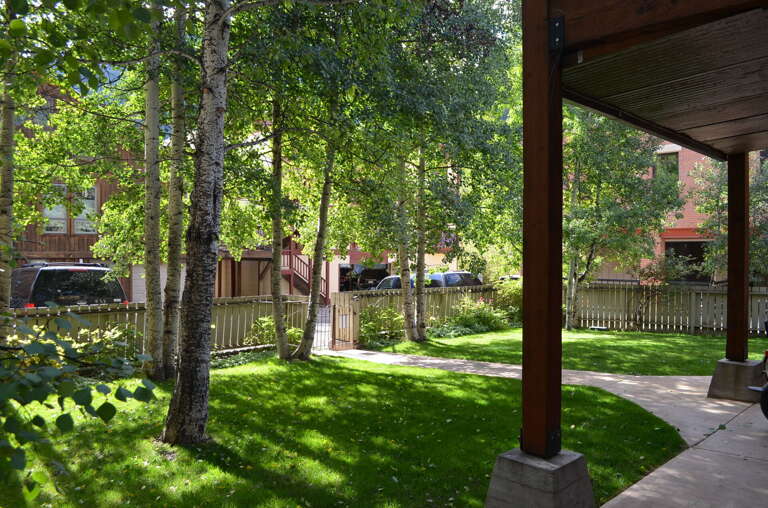 Spacious backyard Spacious backyard