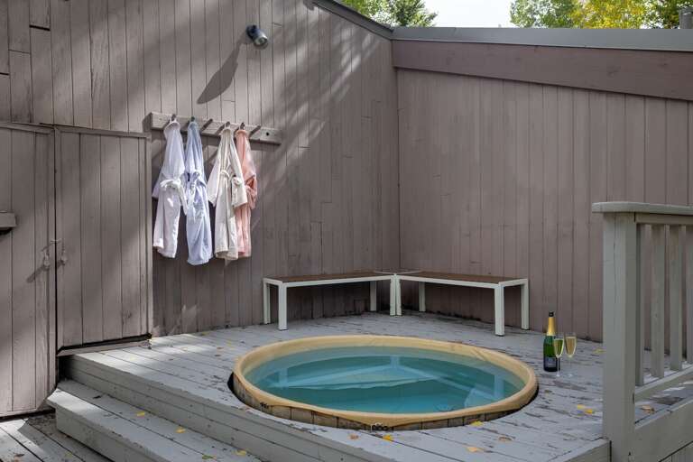 Classic Ski Ranch Cabin