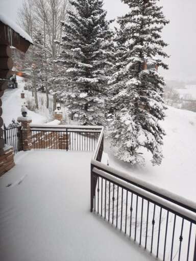 20220222_082826_resized