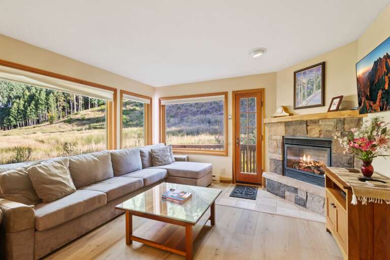 Telluride Other Rental Telluride Other Rental