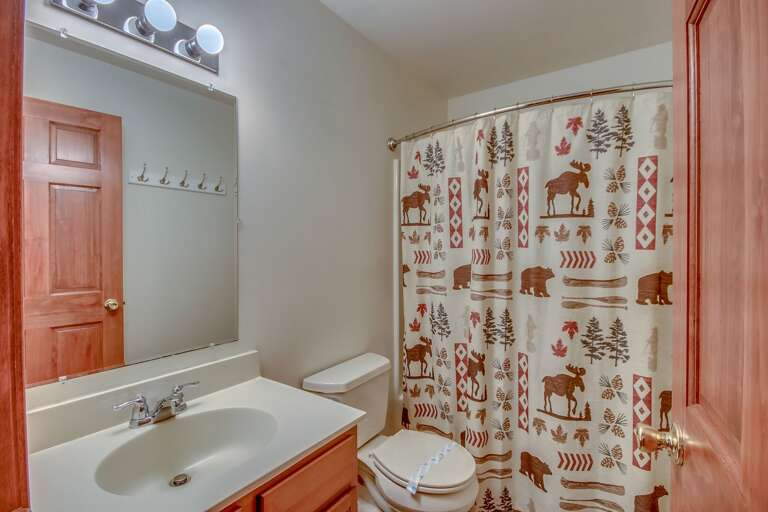 Bathroom with Sink, Mirror, Toilet, and Shower with Curtain.