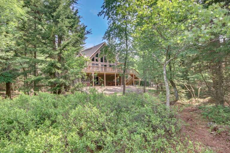 Nature Abounds outside On The Rocks