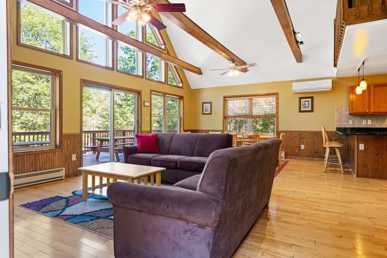 living room with two sofas and a sliding glass door